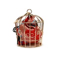 Korean birdcage shape chain shoulder messenger bagpicture28