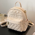 Fashion Leisure Embroidered Thread Lingge Backpackpicture28
