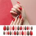 Golden onion powder long nail stickers wholesalepicture15
