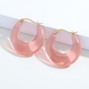 Korean style retro color Ushaped resin earringspicture38