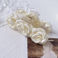 Korean camellia white grasping clippicture13