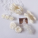 Korean camellia white grasping clippicture7
