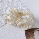 Korean camellia white grasping clippicture10