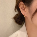 Korean style metal circle earringspicture15