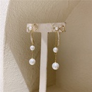 Simple Bowknot Pearl Tassel Long Style Earringspicture10