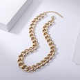 Hiphop exaggerated thick ring buckle matte gold necklacepicture22