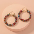 fashion exaggerated color big circle earringspicture13