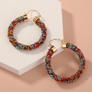 fashion exaggerated color big circle earringspicture8