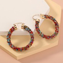 fashion exaggerated color big circle earringspicture10