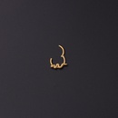 Fashion snakeshaped closed interface ear bone nose ringpicture13