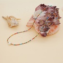 Bohemia ethnic Miyuki beads freshwater pearl handmade necklacepicture8