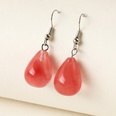 simple transparent crystal dropshaped earringspicture24