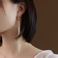 fashion chain full diamond zircon titanium steel 18k gold earringspicture15