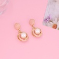 fashion multicolor geometric metal pearl earringspicture14