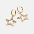 fashion zircon hollow star earrings wholesalepicture9