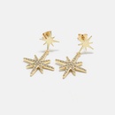 Fashion Goldplated Star Earringspicture10