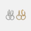 Fashion Simple Circle Goldplated Zircon Earringspicture14