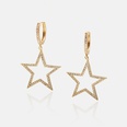 fashion zircon hollow star earrings wholesalepicture14
