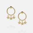 fashion goldplated zircon fivepointed star earrings wholesalepicture15