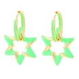 fashion oil drop color geometric star copper earringspicture22