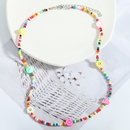 Nihaojewelry Grohandel Schmuck bhmische Farbe Perlen geometrische Kontrastfarbe Halskettepicture13