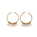 wholesale jewelry irregular geometric pearl ear hoop Nihaojewelrypicture7