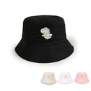 Nihaojewelry cute dinosaur printed widebrimmed sunshade basin hat Wholesalepicture18