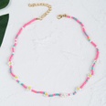 Farbe handgemachte Reisperlenblume bhmische lange Halskette Grohandel Nihaojewelrypicture25