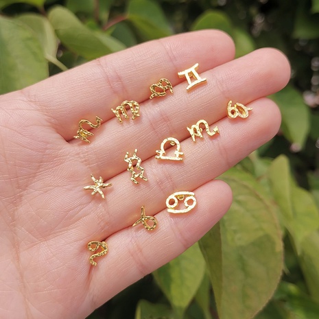wholesale fashion twelve constellations alloy stud earrings Nihaojewelry's discount tags