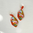 wholesale jewelry plate printing pattern acrylic earrings Nihaojewelrypicture27