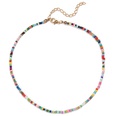 Grohandel Schmuck bhmische Farbe Perlen kurze Halskette nihaojewelrypicture19