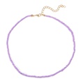 Grohandel Schmuck bhmische Farbe Perlen kurze Halskette nihaojewelrypicture22