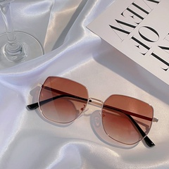 Wuhuama Glasses 63026 New Metal Polygon Ocean Lens Adult Sunglasses Women Large Rim Sunglasses Men