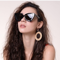 new cat eye irregular frame solid color leopard sunglasses wholesale nihaojewelry