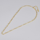L148 Wholesale European and American Style Cold Fashion 18K Gold Chain Necklace Internet Celebrity Oval Bamboo Lock Necklacepicture11