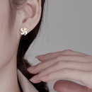 simple rotate fan shape earrings wholesale Nihaojewelrypicture10