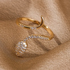 Koreanische einfache Kupfer eingelegte Zirkonium Sternzeichen Schlange offener Ring Großhandel nihaojewelry