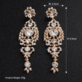 Alloy Fashion Flowers earring  Alloy NHHS0429Alloypicture3
