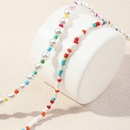 Collar de perlas de imitacin estilo Pastoral bohemio con cuentas de colores de diseo Nz2232picture13