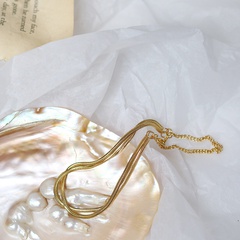 Snake Bone Tassel Chain Titanium Steel Plated 18K Gold Bracelet Wholesale Nihaojewelry
