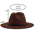 retro leopard print flat brim big edge woolen top hat wholesale Nihaojewelrypicture28