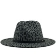 retro leopard print flat brim big edge woolen top hat wholesale Nihaojewelrypicture29