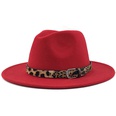 Fashion leopard belt woolen jazz hat wholesale Nihaojewelrypicture28