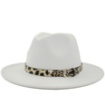 Fashion leopard belt woolen jazz hat wholesale Nihaojewelrypicture35
