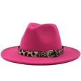 Fashion leopard belt woolen jazz hat wholesale Nihaojewelrypicture39