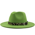 Fashion leopard belt woolen jazz hat wholesale Nihaojewelrypicture43
