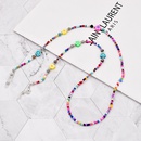 rainbow beaded butterfly flower soft pottery glasses chain wholesale nihaojewelrypicture17