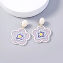 Europe and America Cross Border Ornament Cute Popular Fashion Transparent Embossed Color Earrings Accessories Womens Clear Earringspicture14