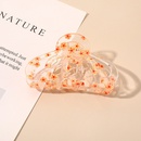 Korean fruit plate hair clip transparent shark clip back head hair clip acetate hair accessoriespicture33