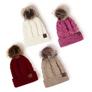 korean style warm leather label fur ball knitted hat wholesale Nihaojewelrypicture31